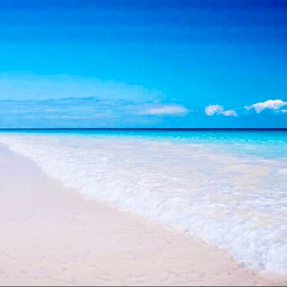 Meet your Posher, Dax - Picture 5 of 16